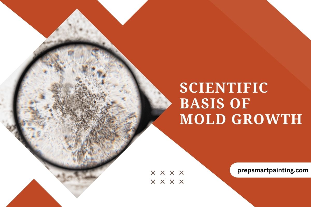 What are the Scientific Basis of Mold Growth?