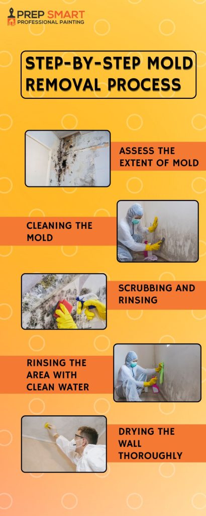 Learn How to Remove Mold from Walls with Easy Steps