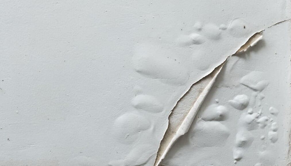 does humidity affect interior painting