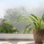 Condensation on an interior window showing how interior humidity affects paint in Warwick homes