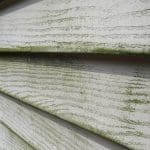 Close-up of mildew and algae growth spreading across white wood lap siding, showing why knowing how to choose the best exterior paint for humid summers matters for New England homes
